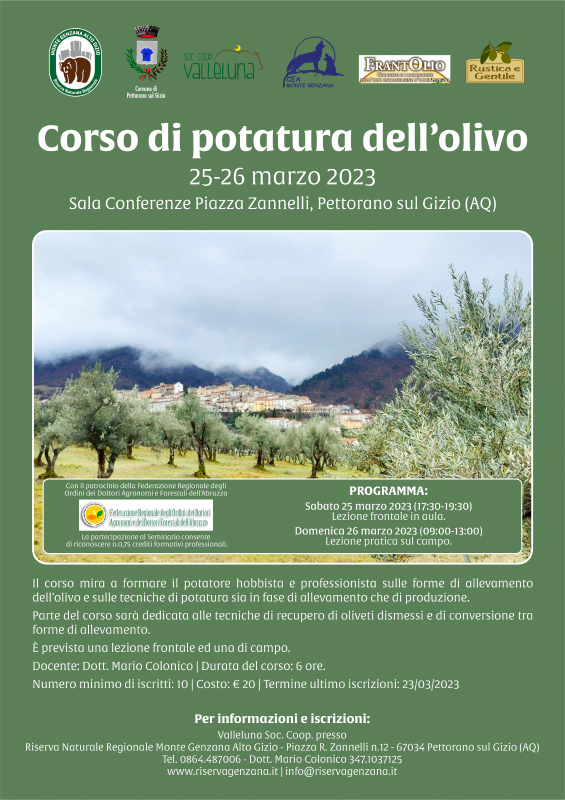 Corso di potatura dell’olivo