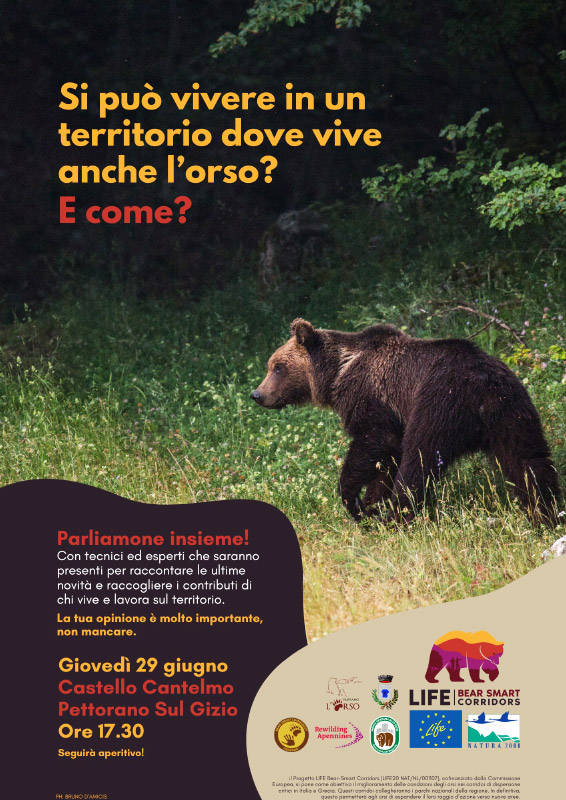 Si può vivere in un territorio dove vive anche l'orso? E come?